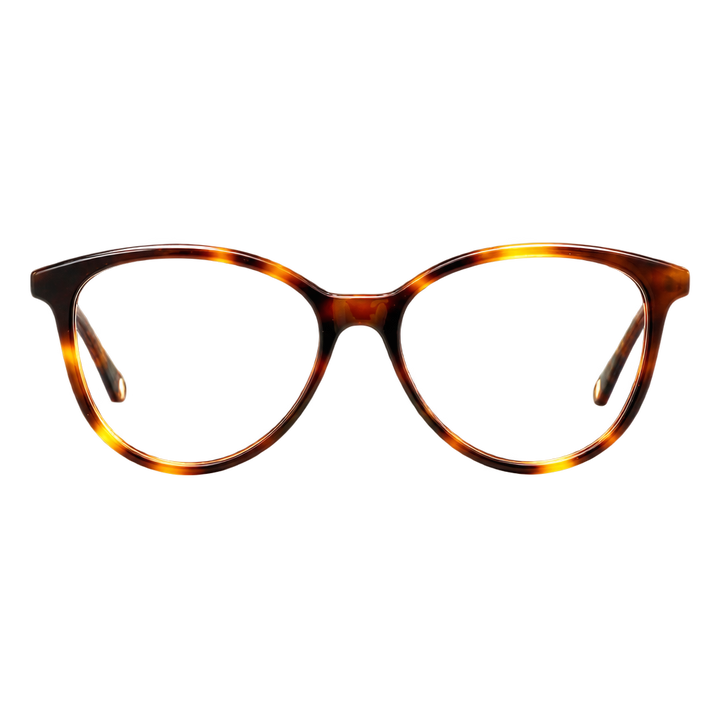 Guess Tortoise — front