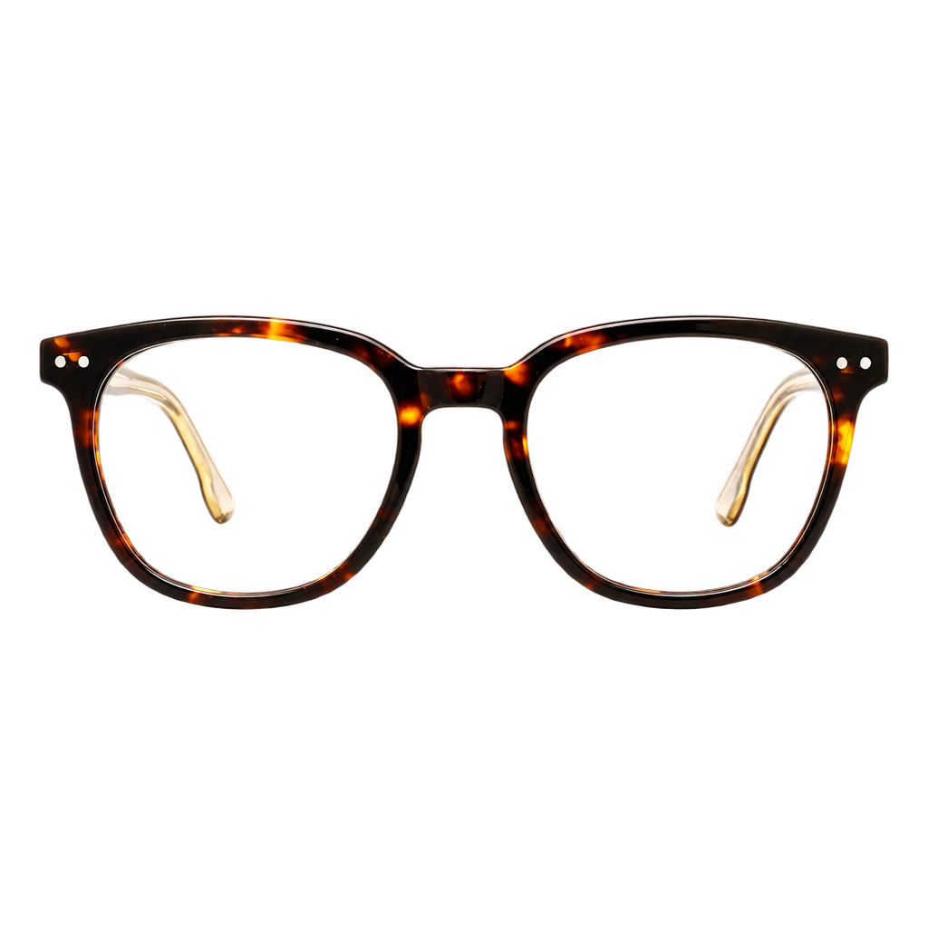 Rosa Tortoise — front